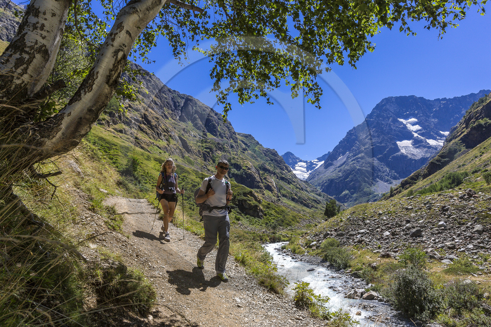 Randonnée pédestre