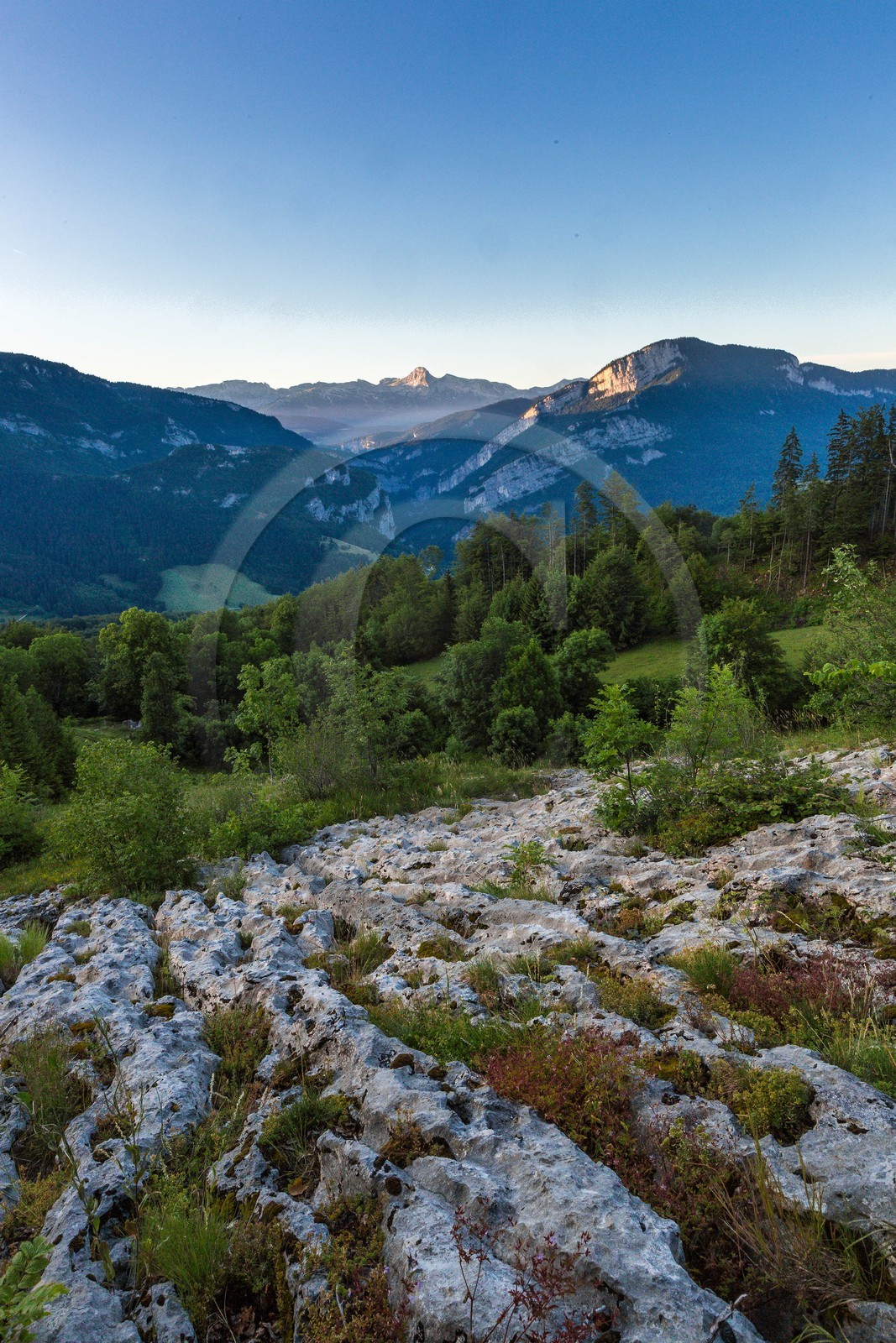 ENS de l'Isère, vallée fossile des Rimets