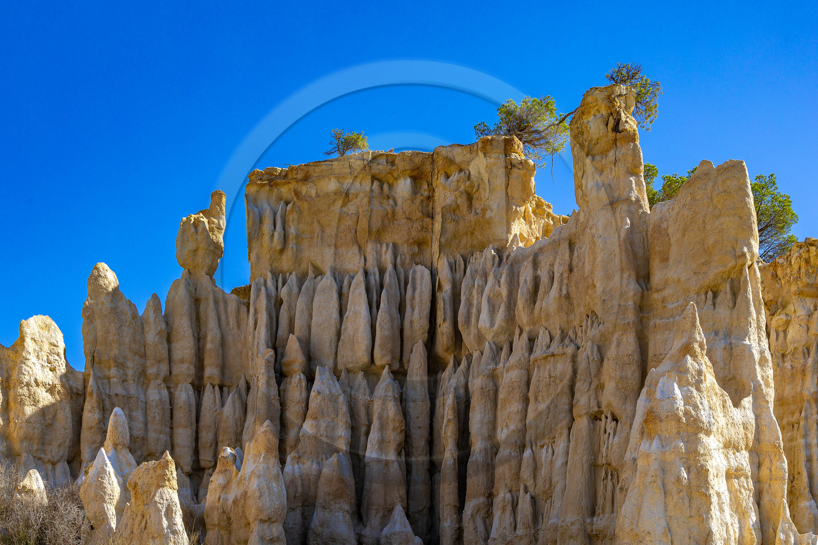 Orgues d'Ille-sur-Têt