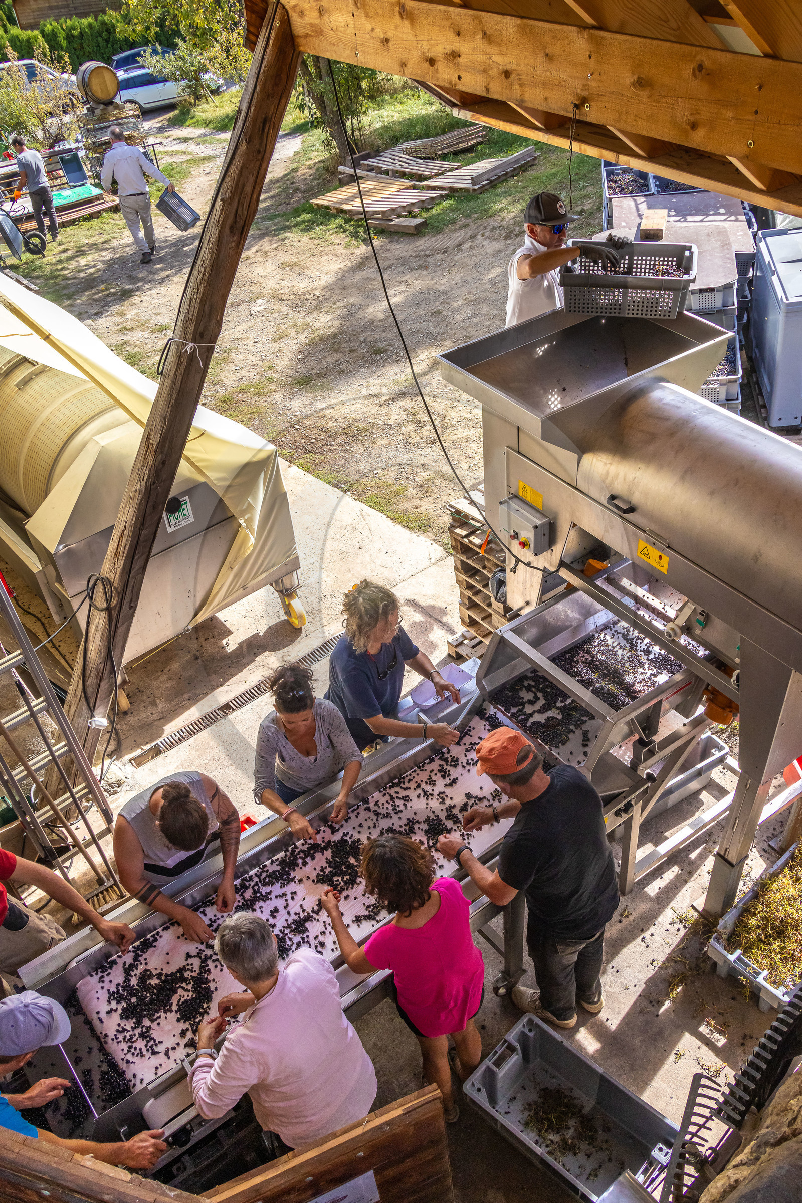 Domaine du Mont Guillaume