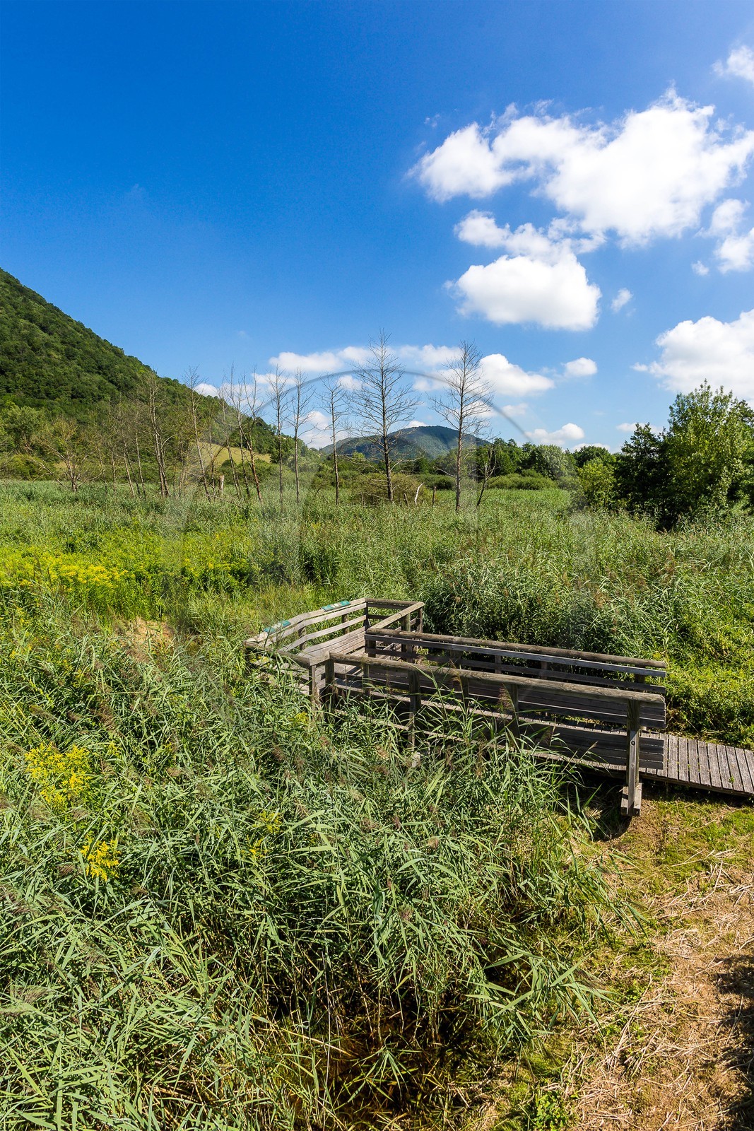 ENS de l'Isère, Marais de Chirens