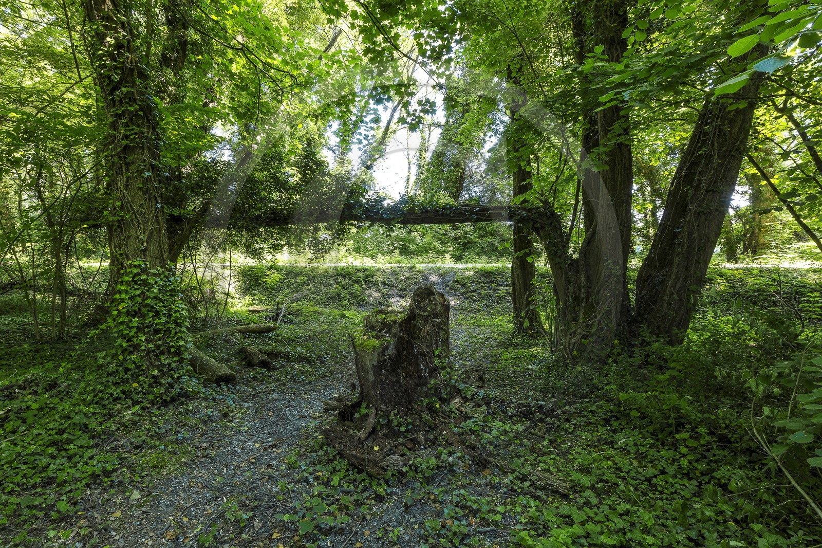 ENS de l'Isère, Boucle de la Taillat