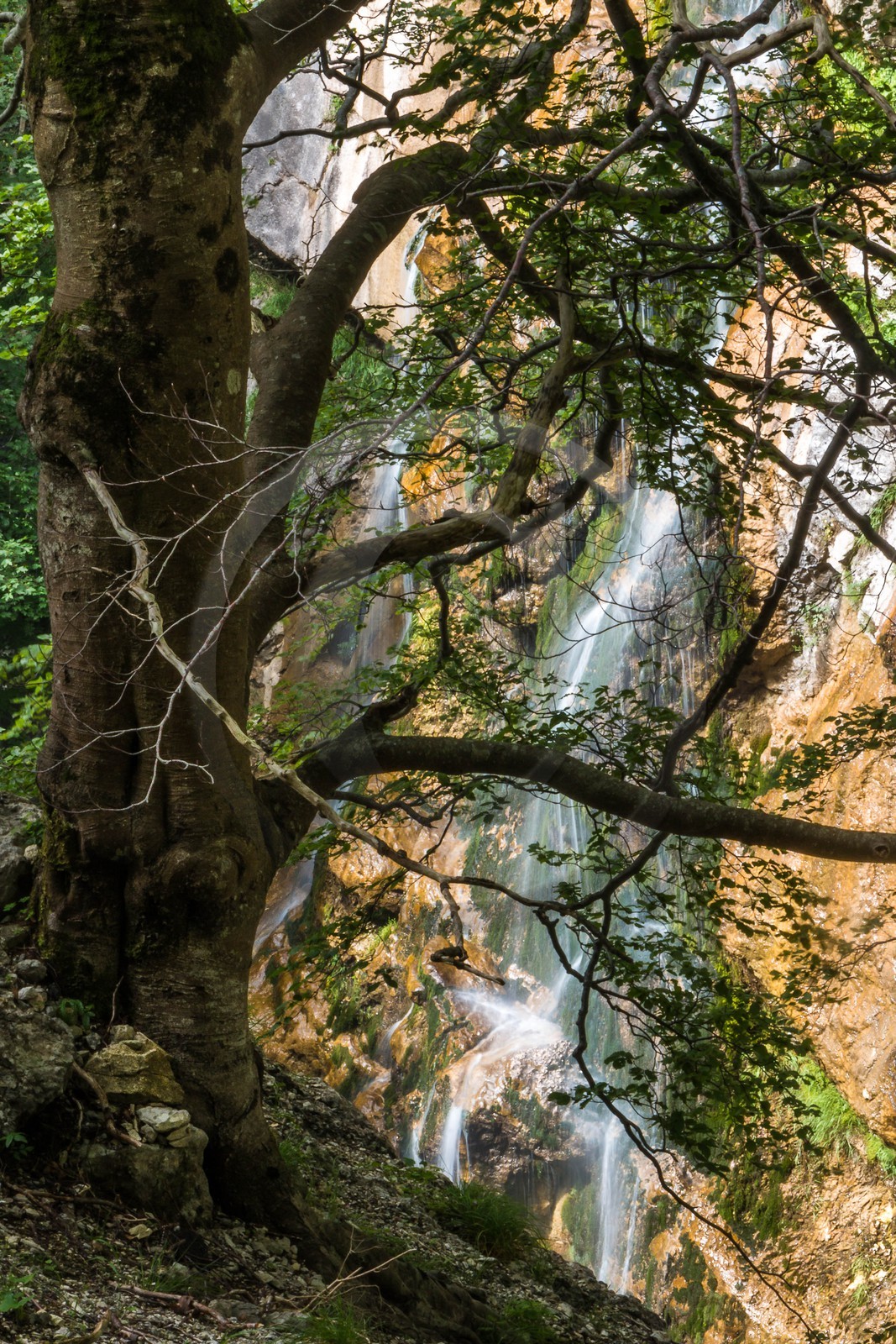 ENS de l'Isère, Les Ecouges