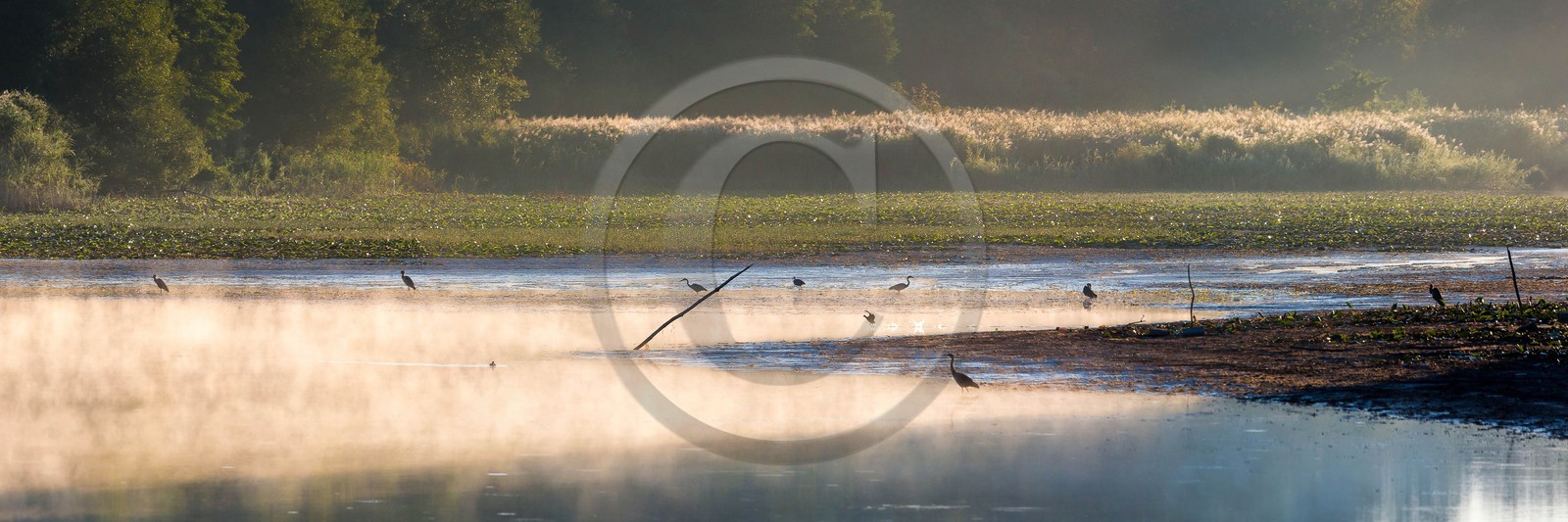 ENS de l'Isère, étang de Montjoux