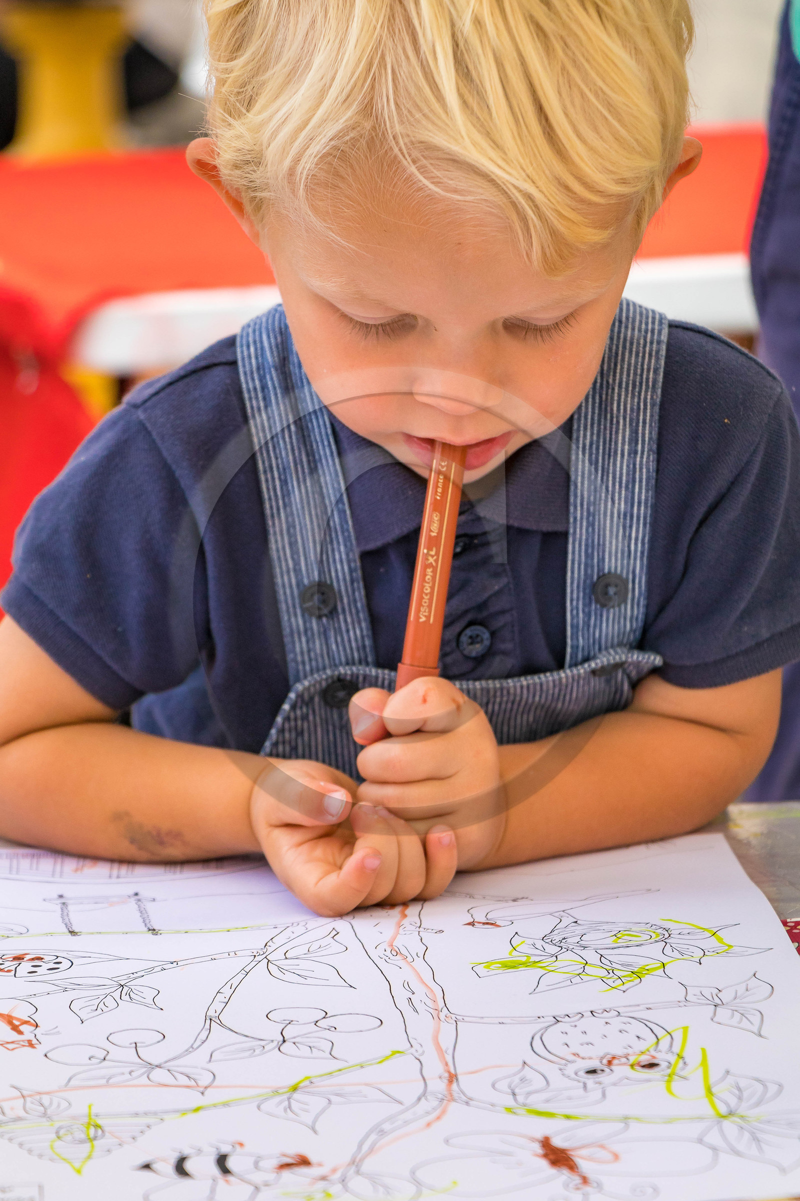 Festival L'Echo des mots