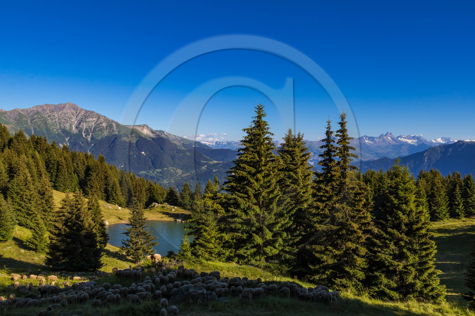 Lac de la Grande Léchère