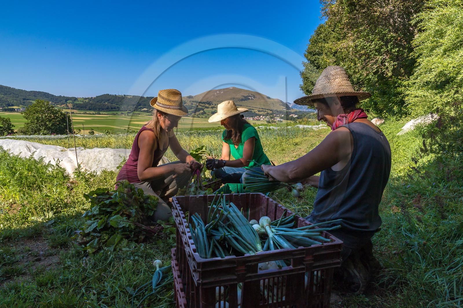 LéguMontagne, Sylvie Jaussaud et  Bertille Gieu, Maraîchères bio