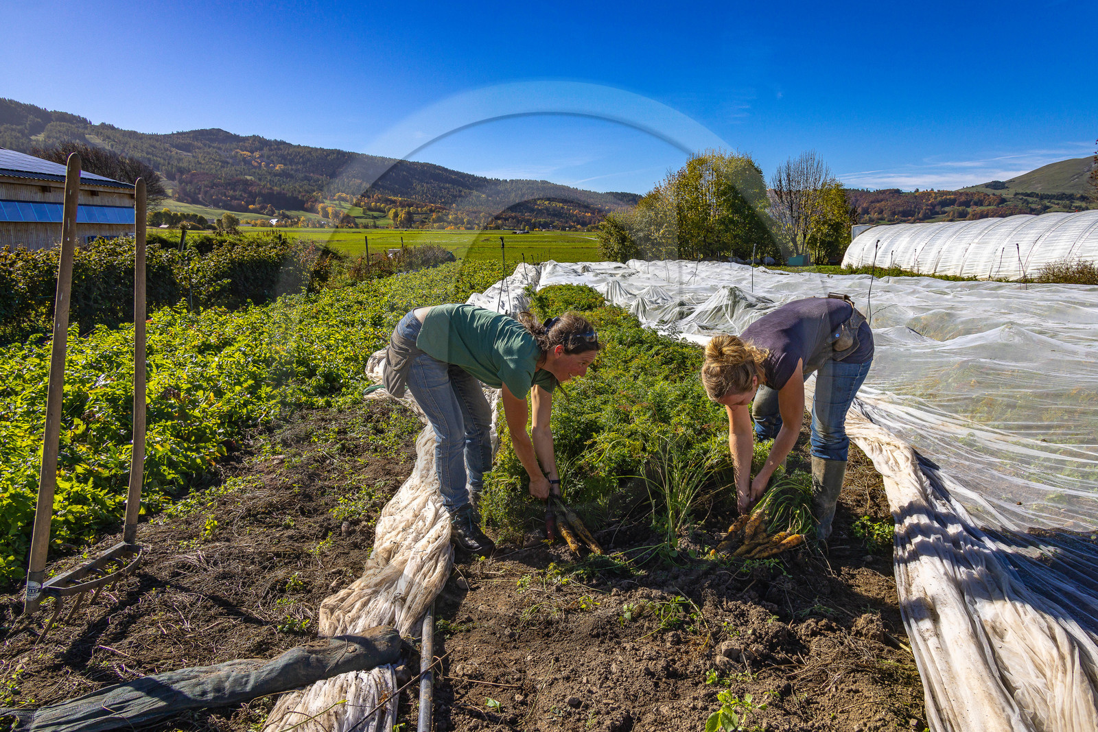 LéguMontagne, Sylvie Jaussaud et  Bertille Gieu, Maraîchères bio