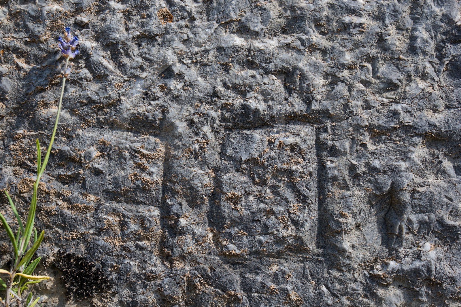 Briançon, La Communication Y