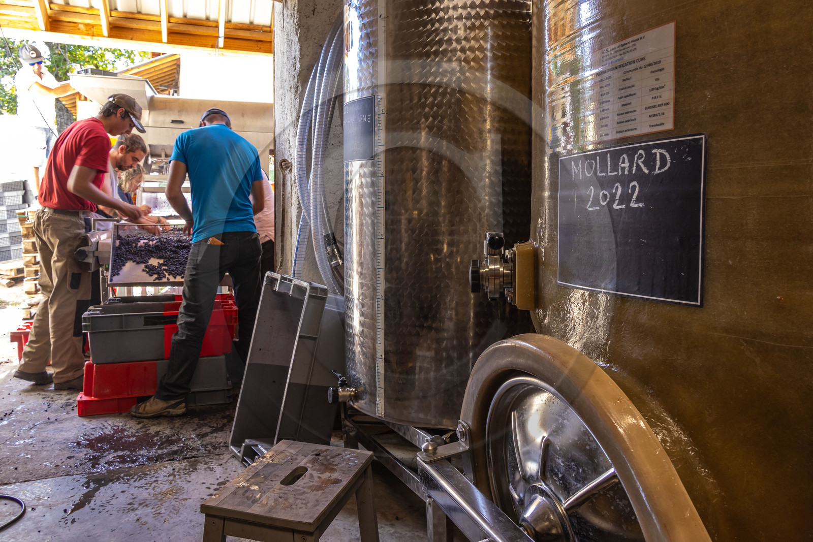 Domaine du Mont Guillaume