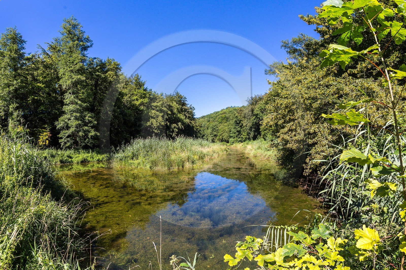 ENS de l'Isère, étang de Cote Manin