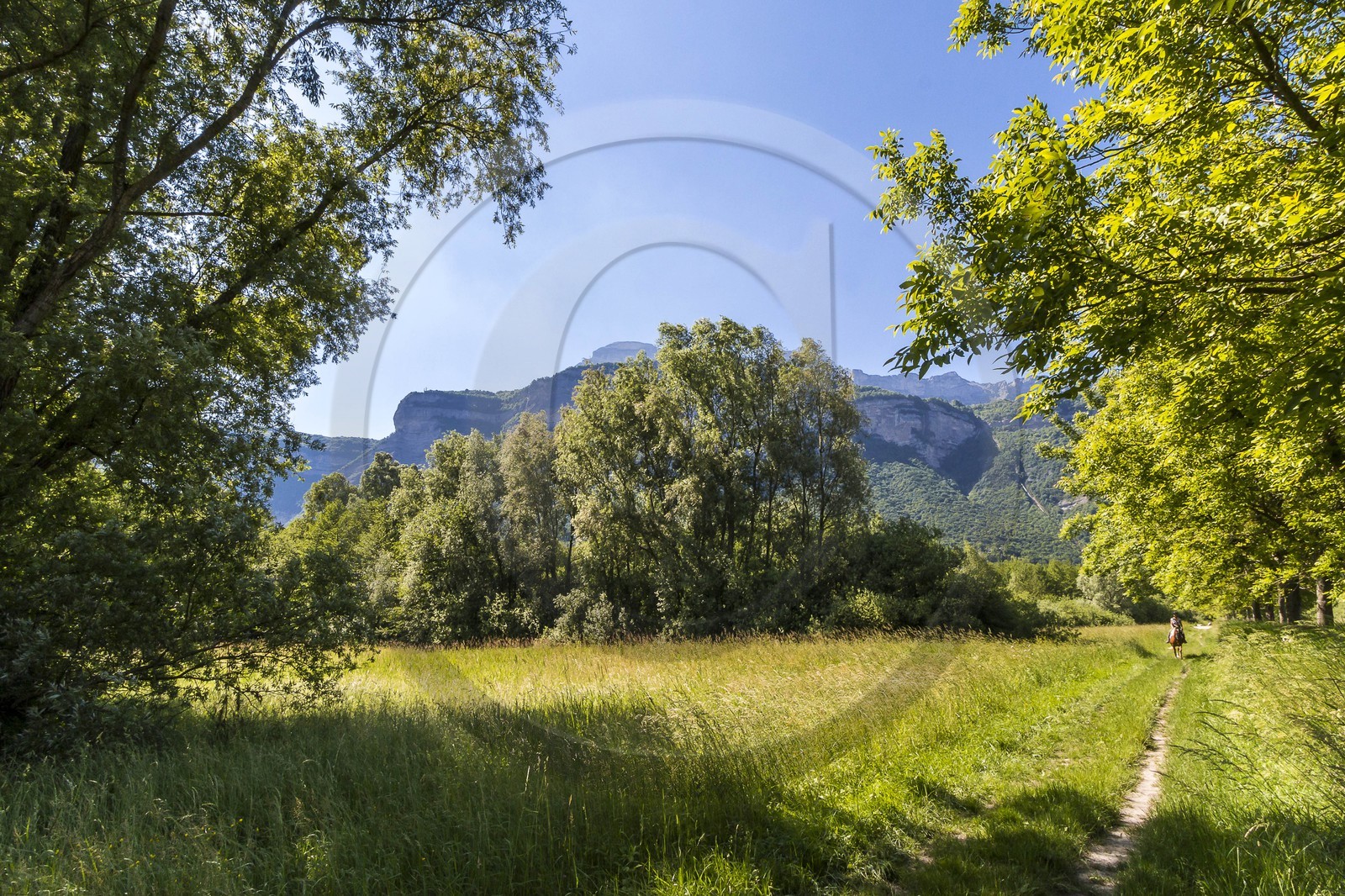 ENS de l'Isère, Marais de Montfort
