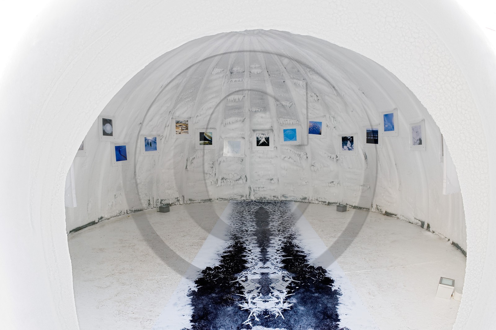 Monaco, exposition de Bertrand Bodin Délices de gel