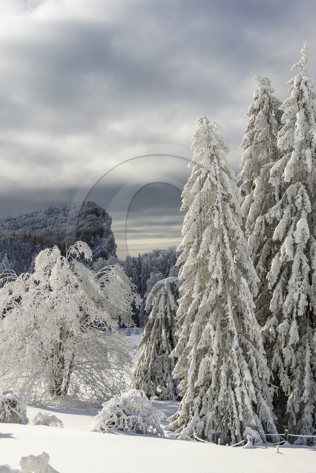 ENS de l'Isère, Les Ecouges