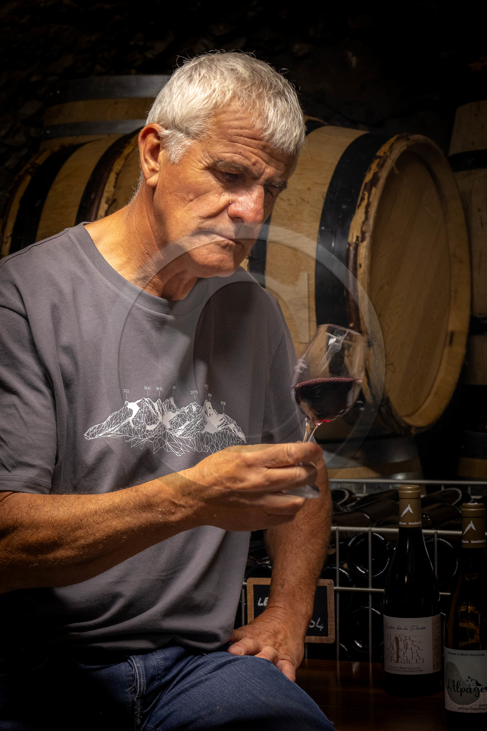 Domaine du Mont Guillaume, Emmanuel Berteloot vigneron