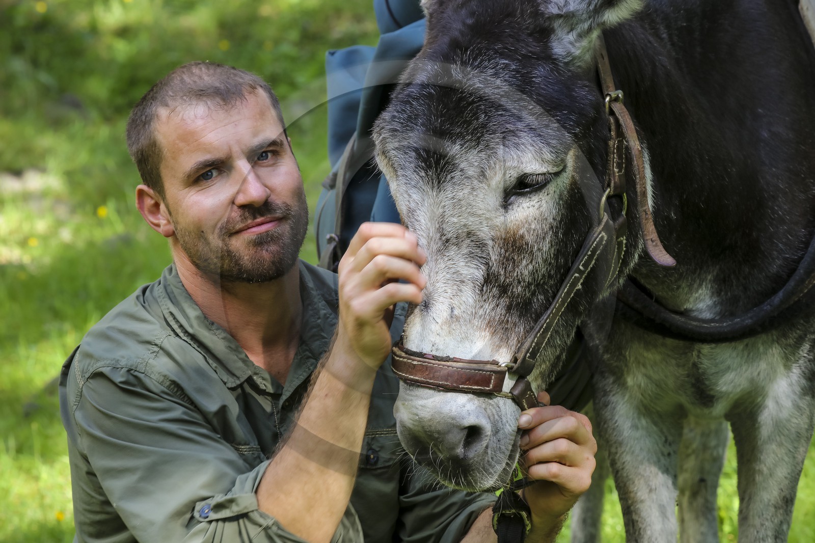 Yohann Masnada, accompagnateur ânier