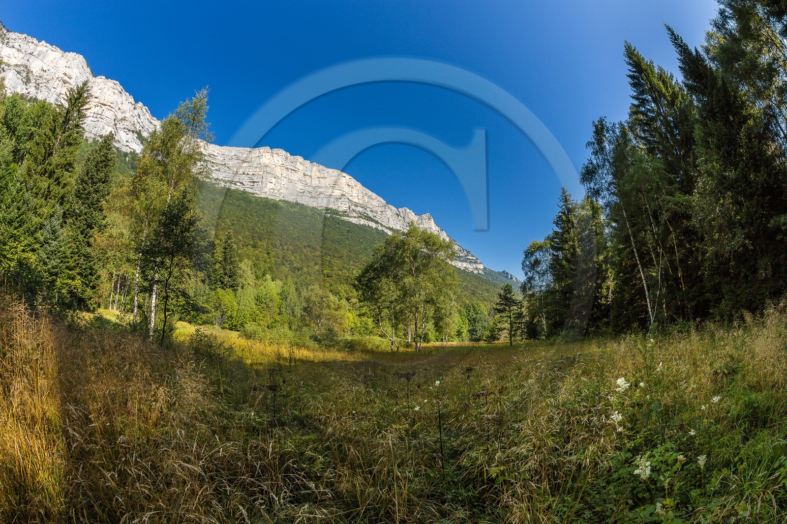 ENS de l'Isère,Tourbières du Peuil
