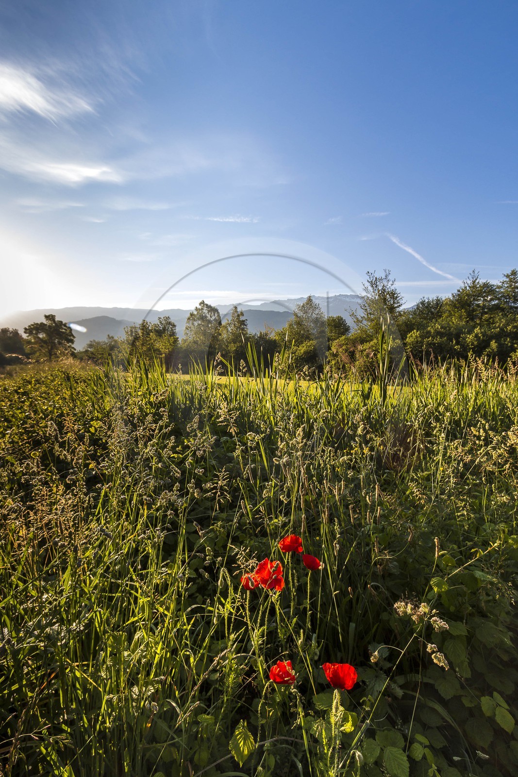 ENS de l'Isère, Marais de Montfort