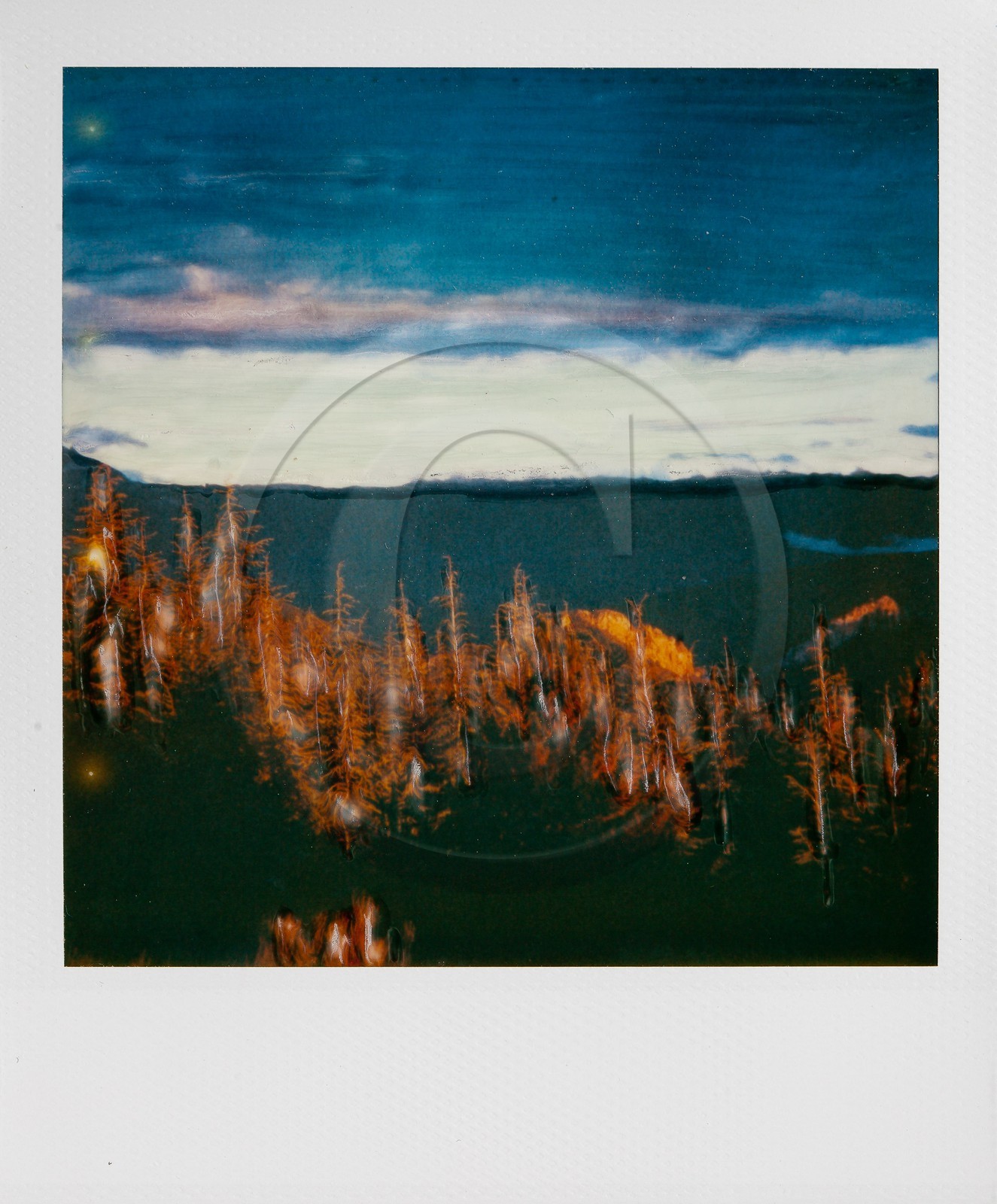 Exposition Arbres et petites forêts, éloge de la biodiversité