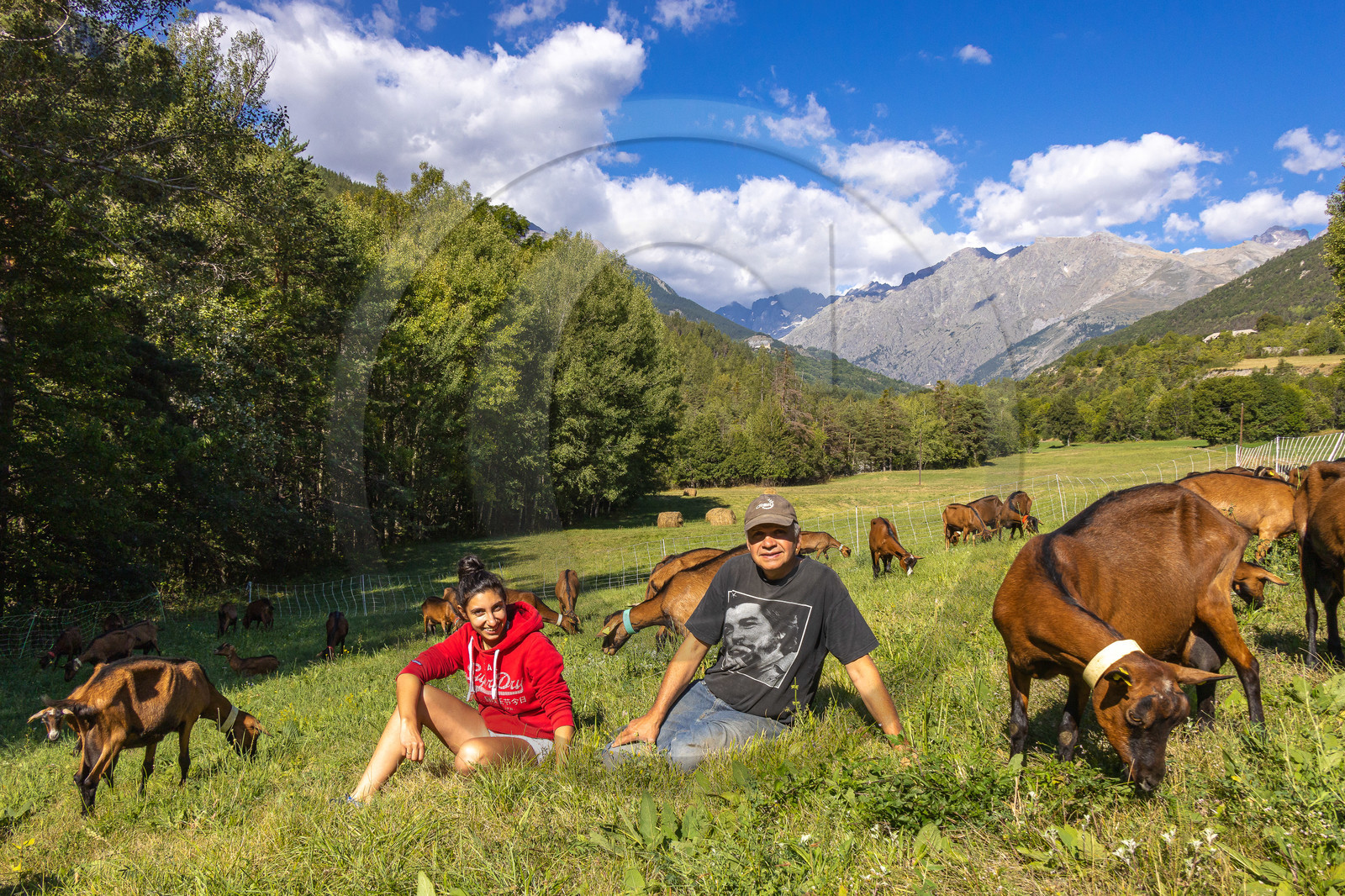 Gaec La Ferme des Ecrins