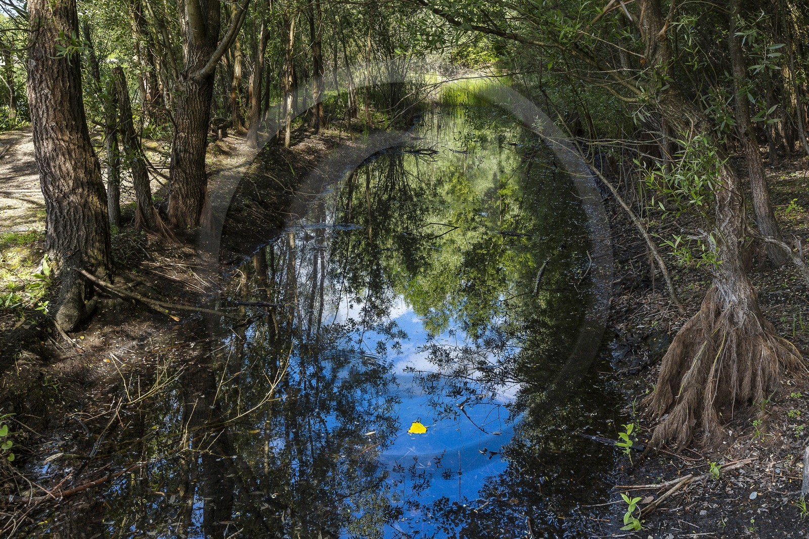 ENS de l'Isère, Boucle de la Taillat