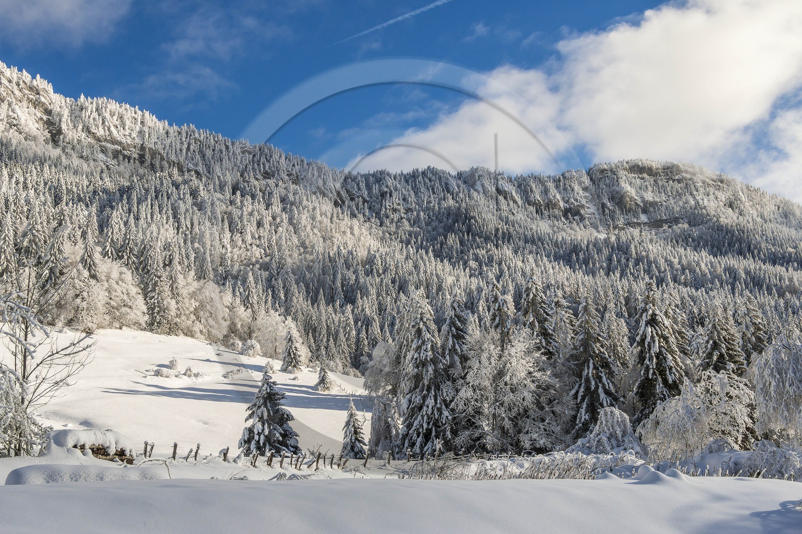 ENS de l'Isère, Les Ecouges