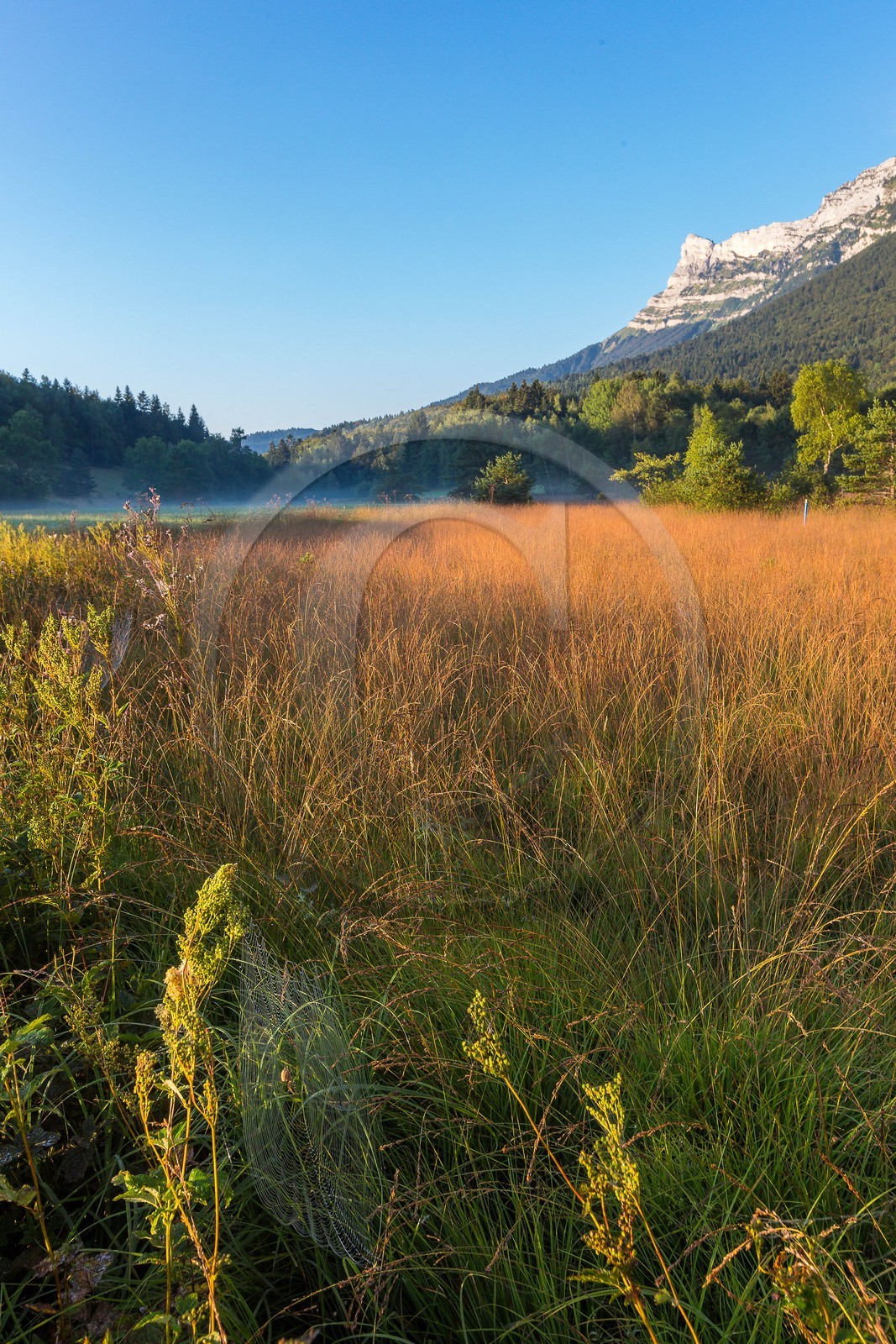 ENS de l'Isère,Tourbières du Peuil