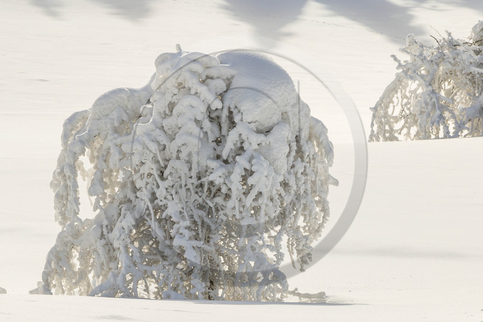 ENS de l'Isère, Les Ecouges