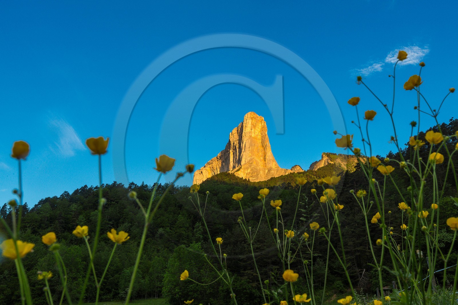 Trièves, le Mont-Aiguille