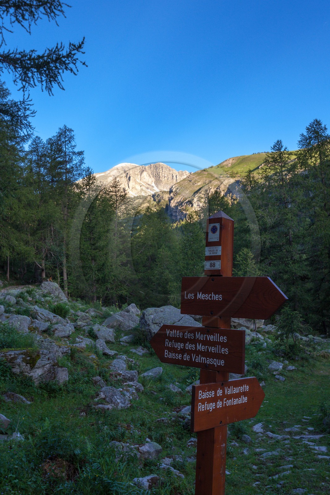 Vallée des Merveilles