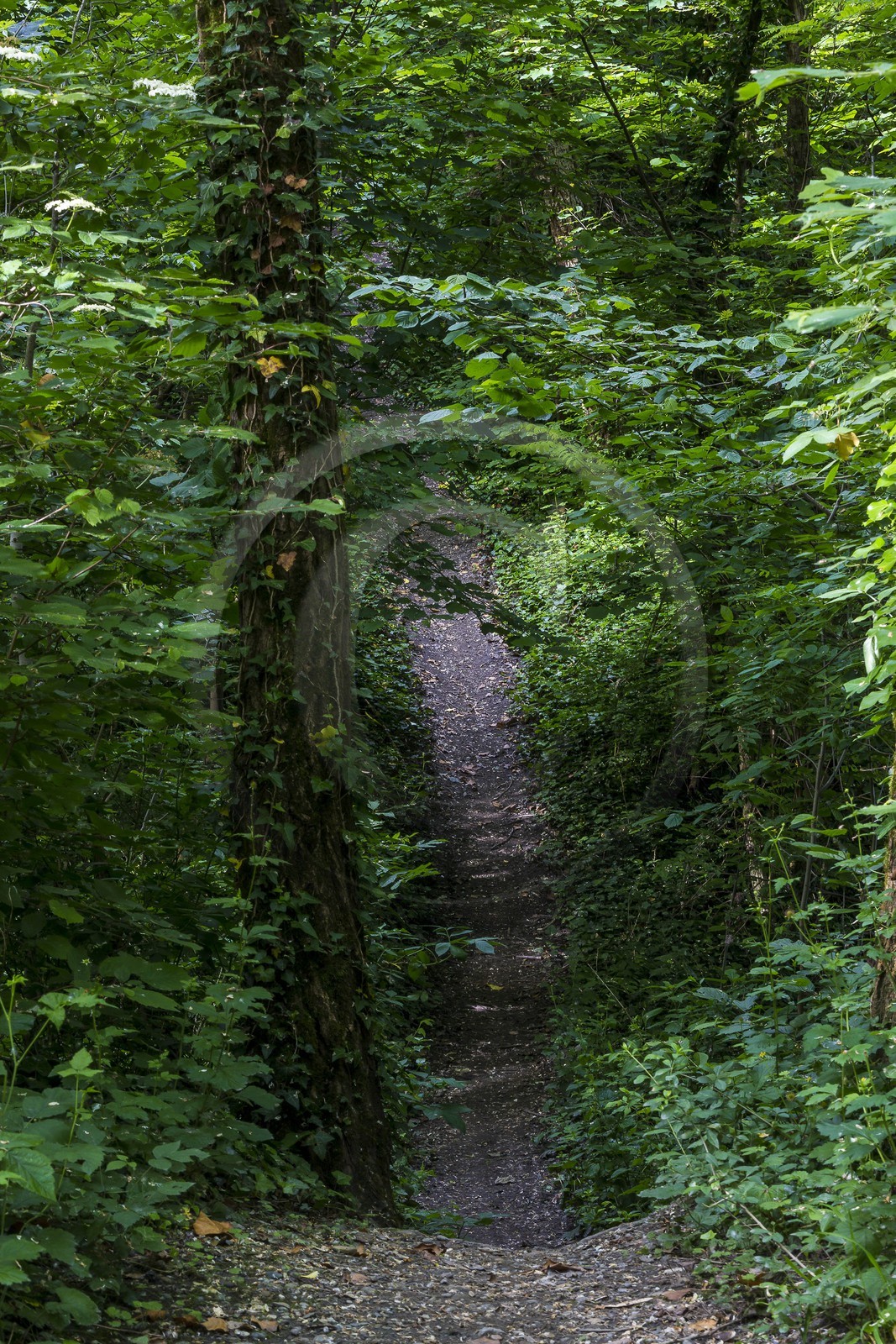 ENS de l'Isère, Boucle de la Taillat
