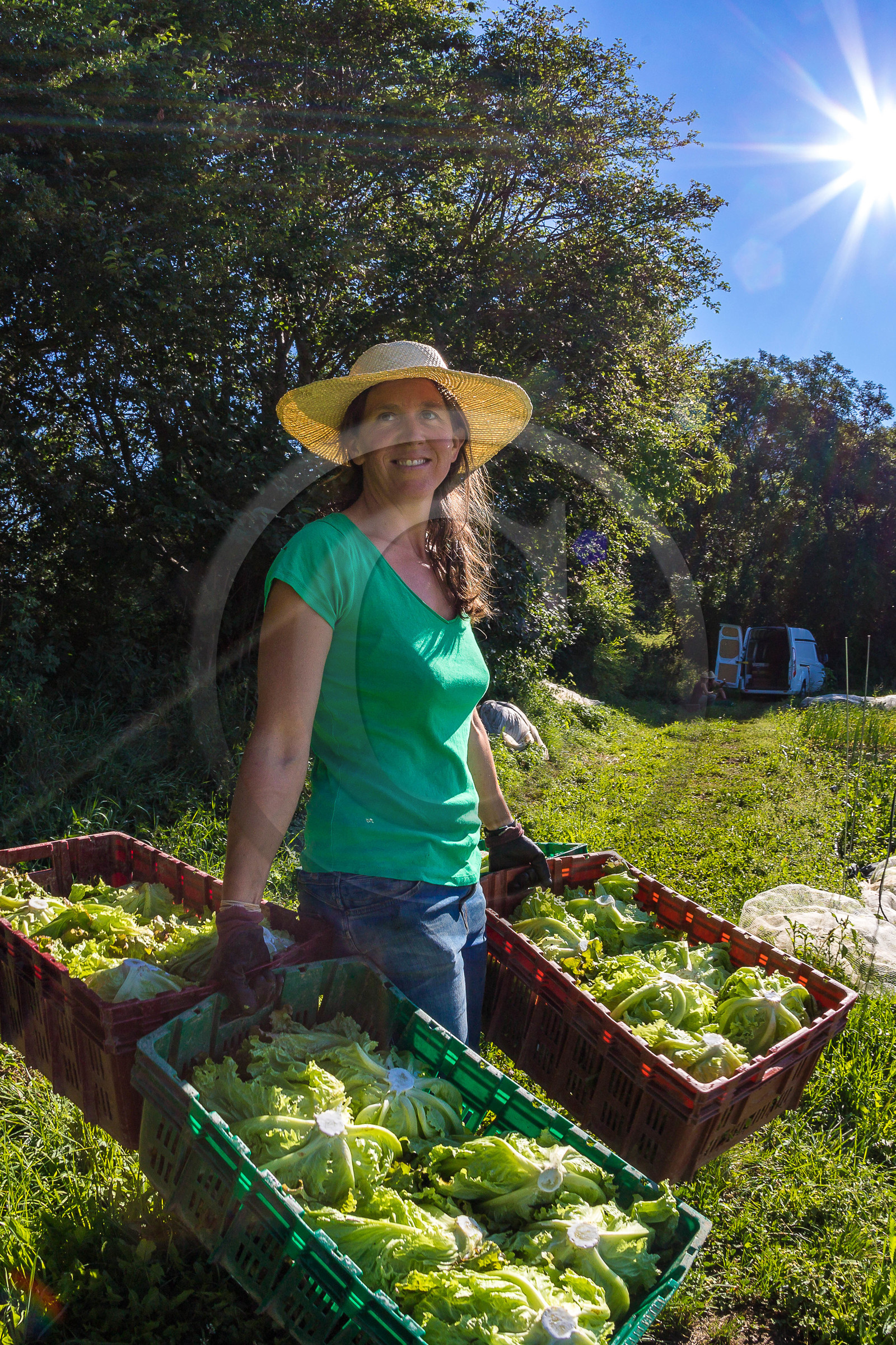 LéguMontagne Sylvie Jaussaud , Maraîchères bio