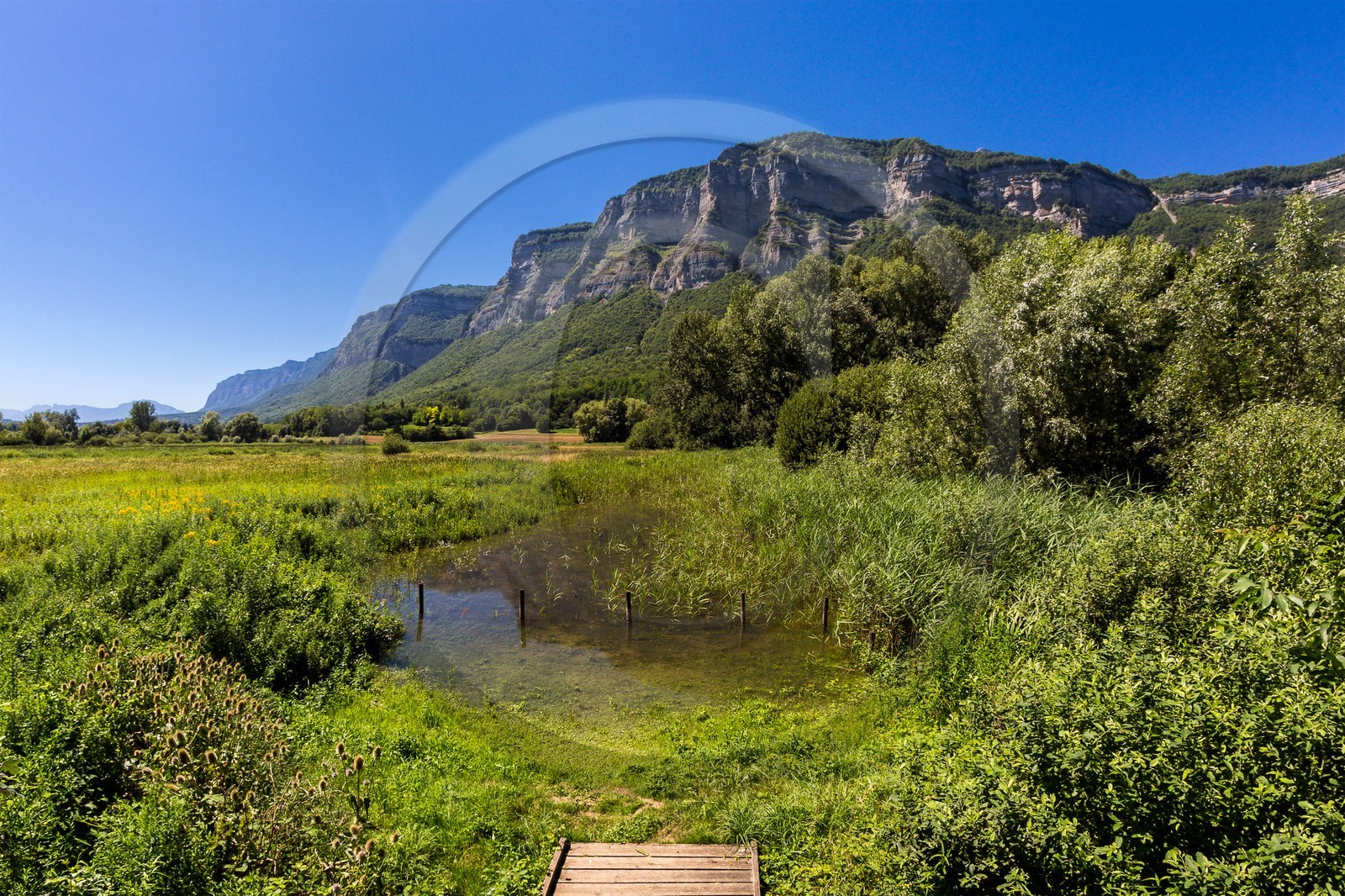 ENS de l'Isère, Marais de Montfort