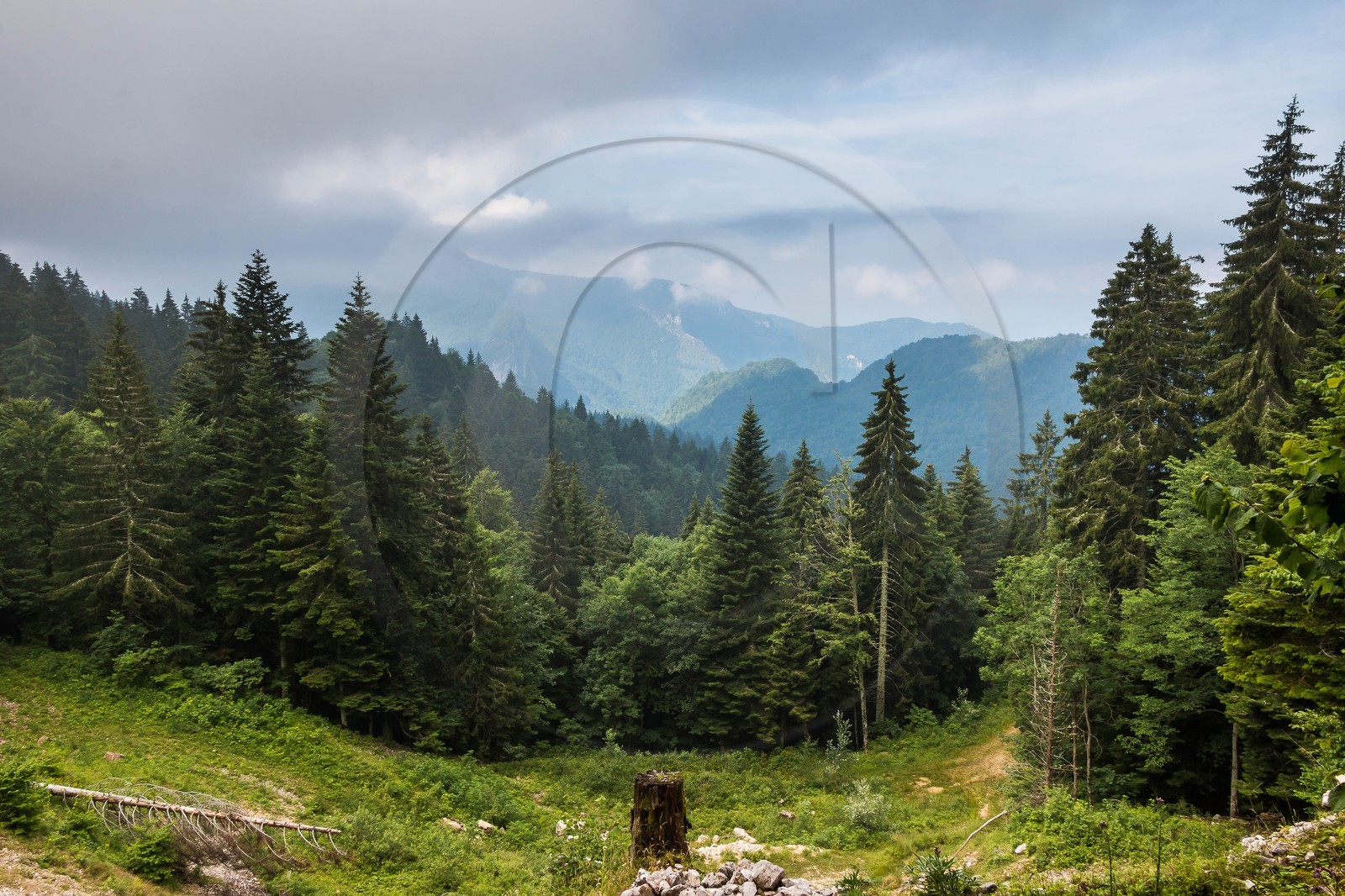 ENS de l'Isère, Les Ecouges