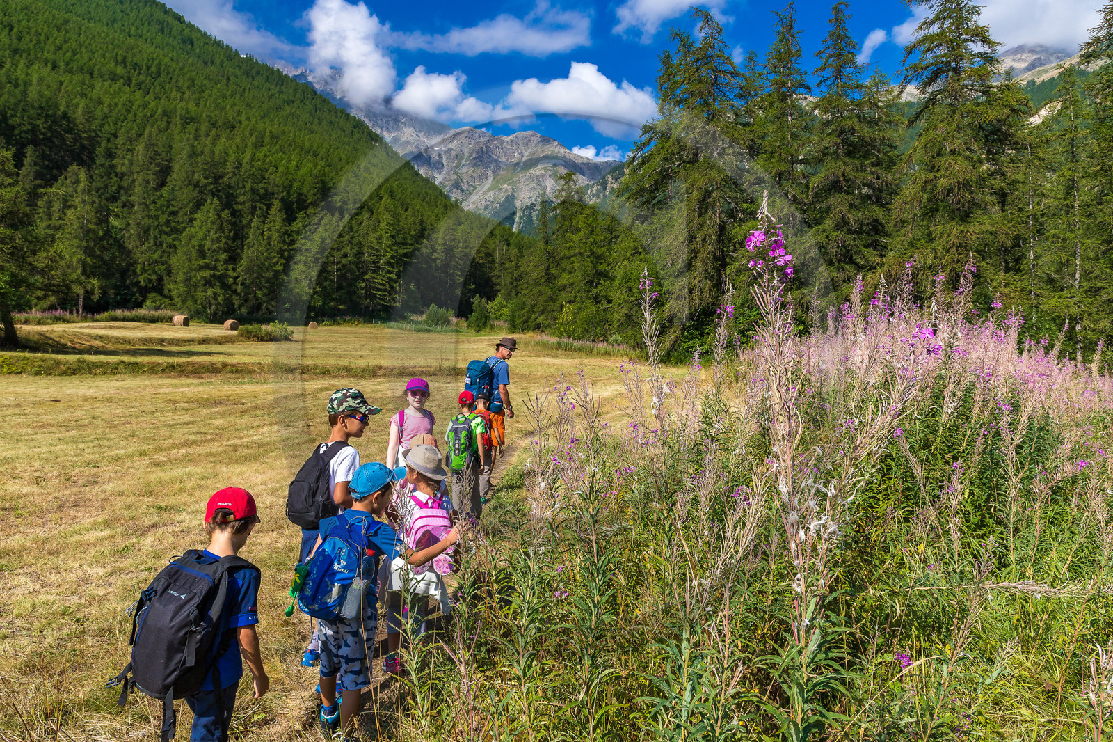 Curieux de nature, sortie découverte avec Cyril Mahout