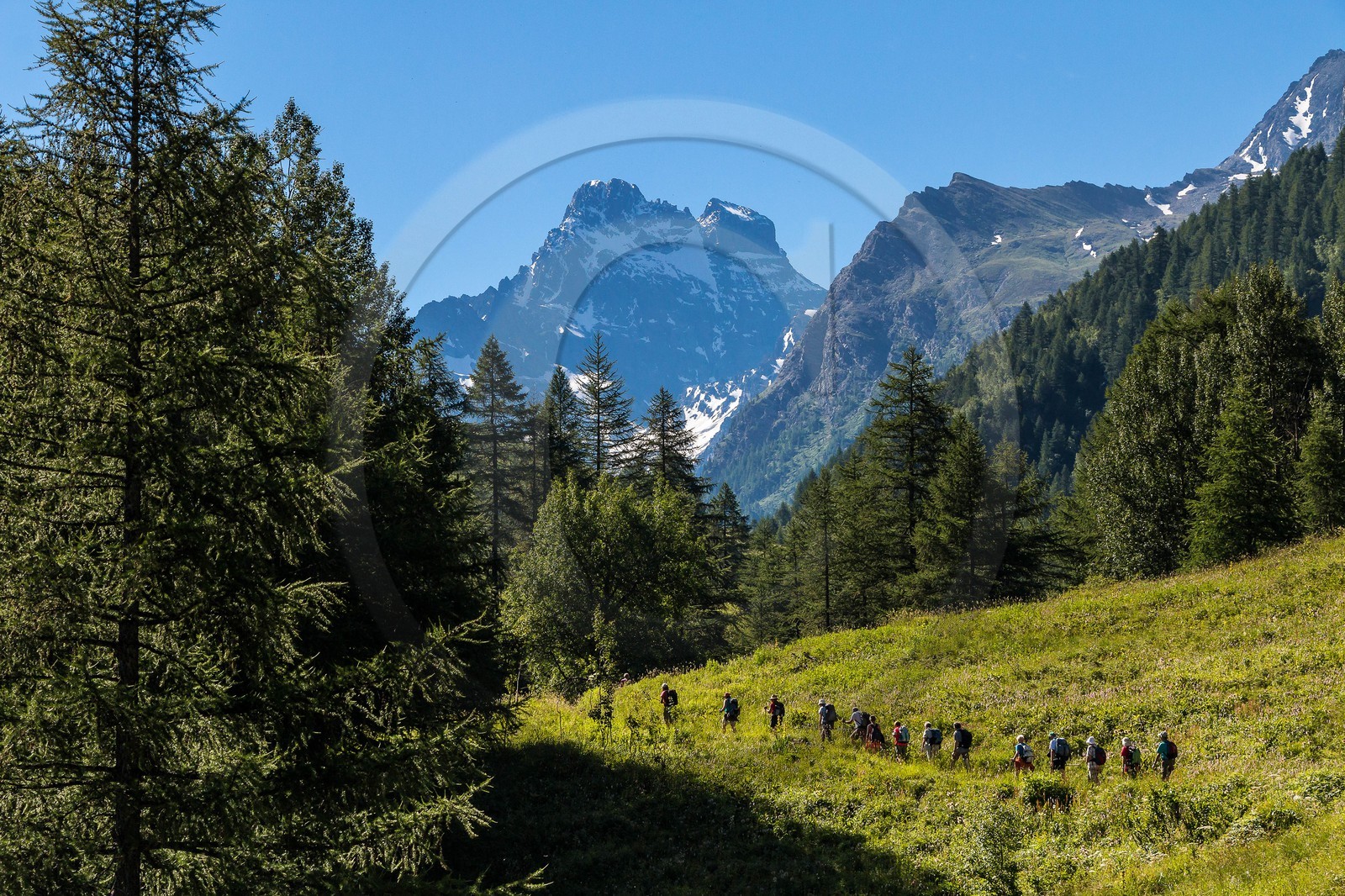 Réserve naturelle de Ristolas-Mont Viso, randonnée au petit belvédère du Viso