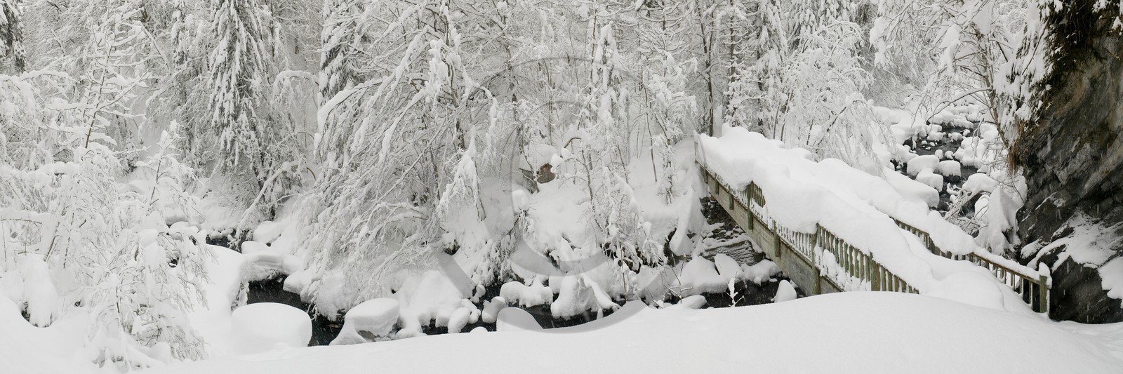 Réserve naturelle de Sixt-Passy, Le Giffre, Sixt-Fer-à-Cheval