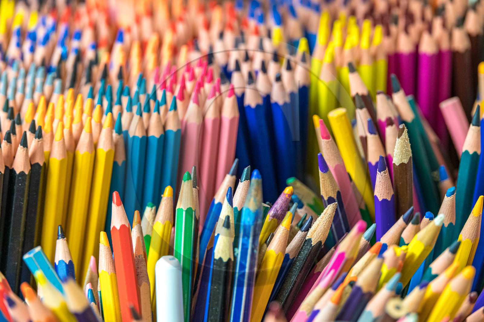 Ecole primaire de Ceillac, La Ruche du Cristillan