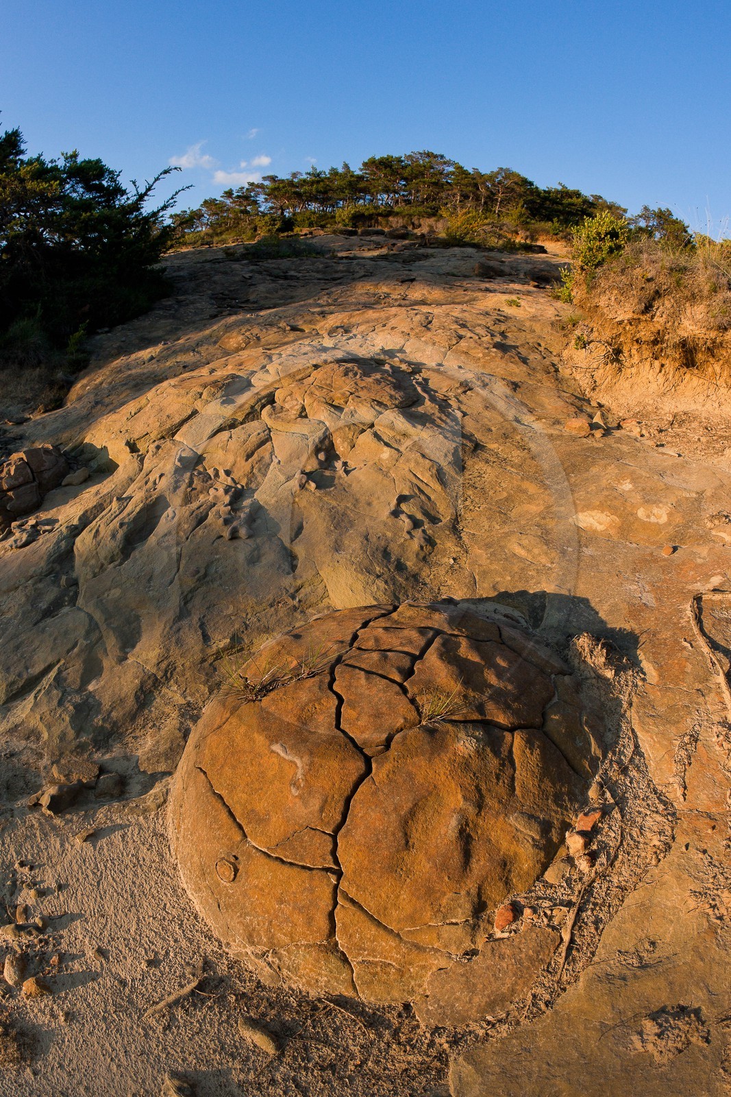 Saint-André de Rosans