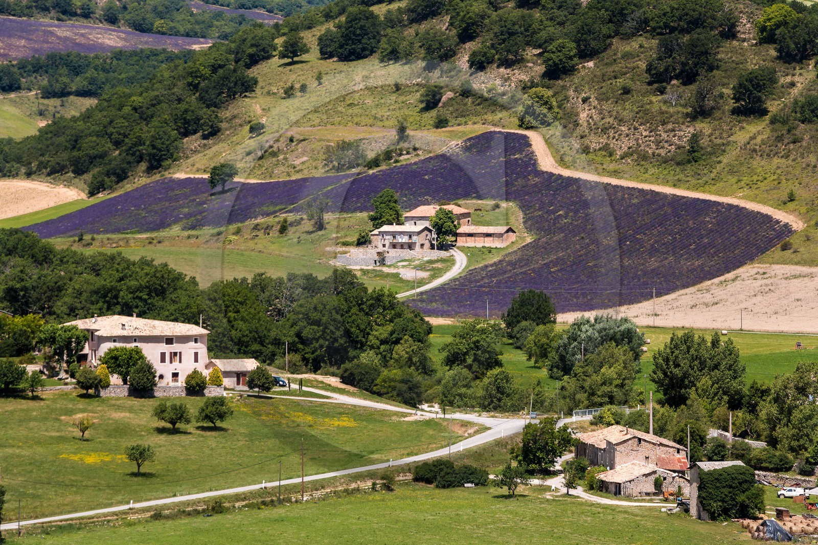 vallée des Duyes, Thoard