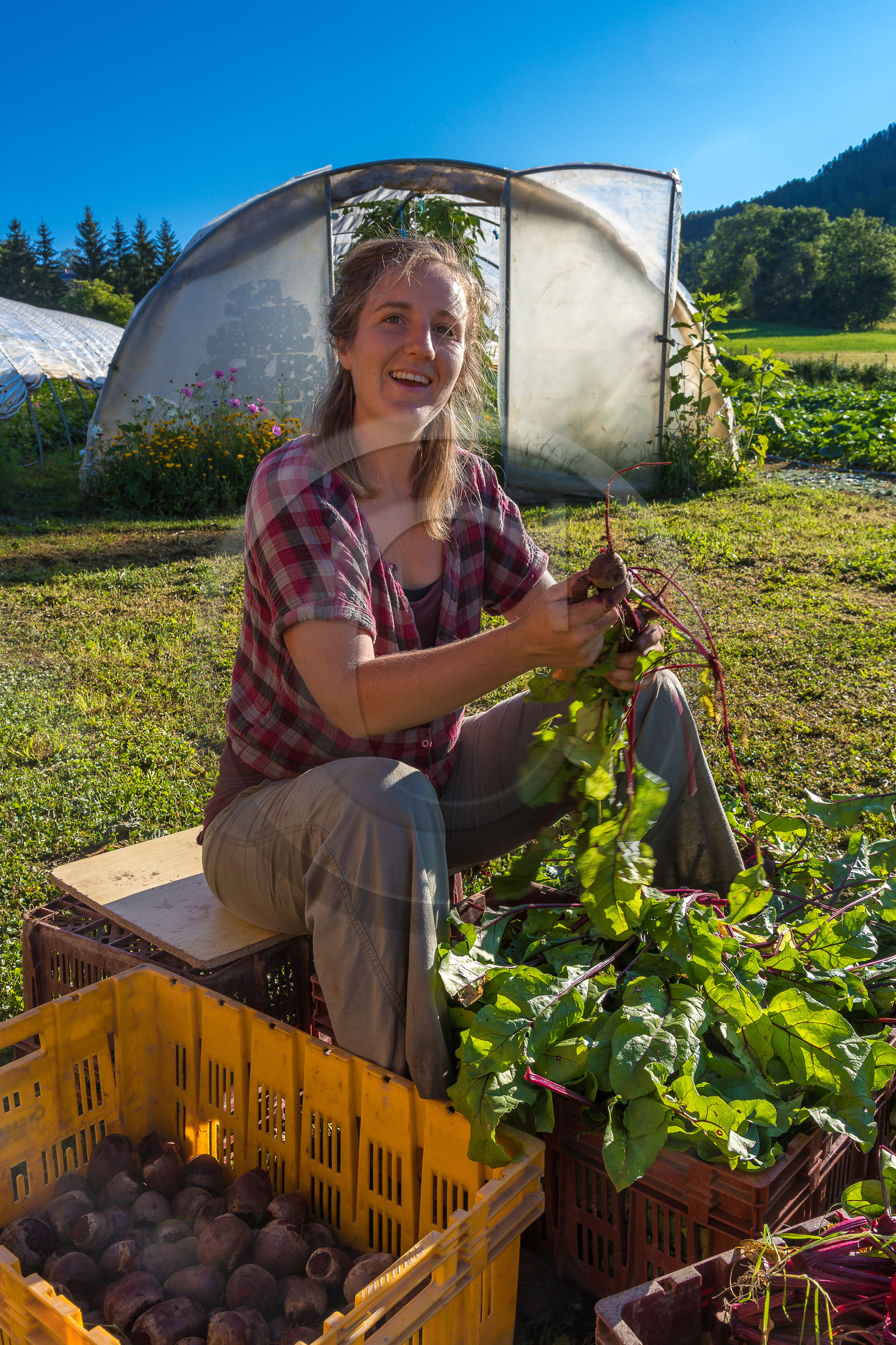 LéguMontagne,  Bertille Gieu, Maraîchère bio
