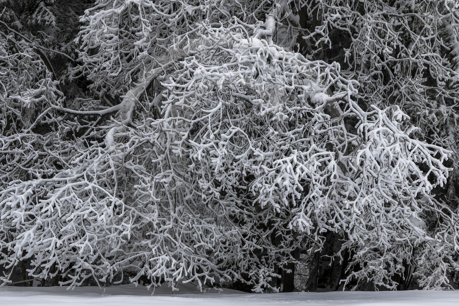 ENS de l'Isère, Les Ecouges