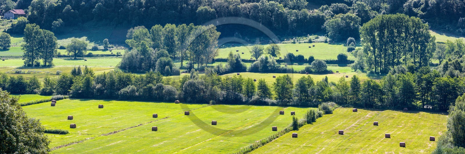 ENS de l'Isère, Marais de Chirens
