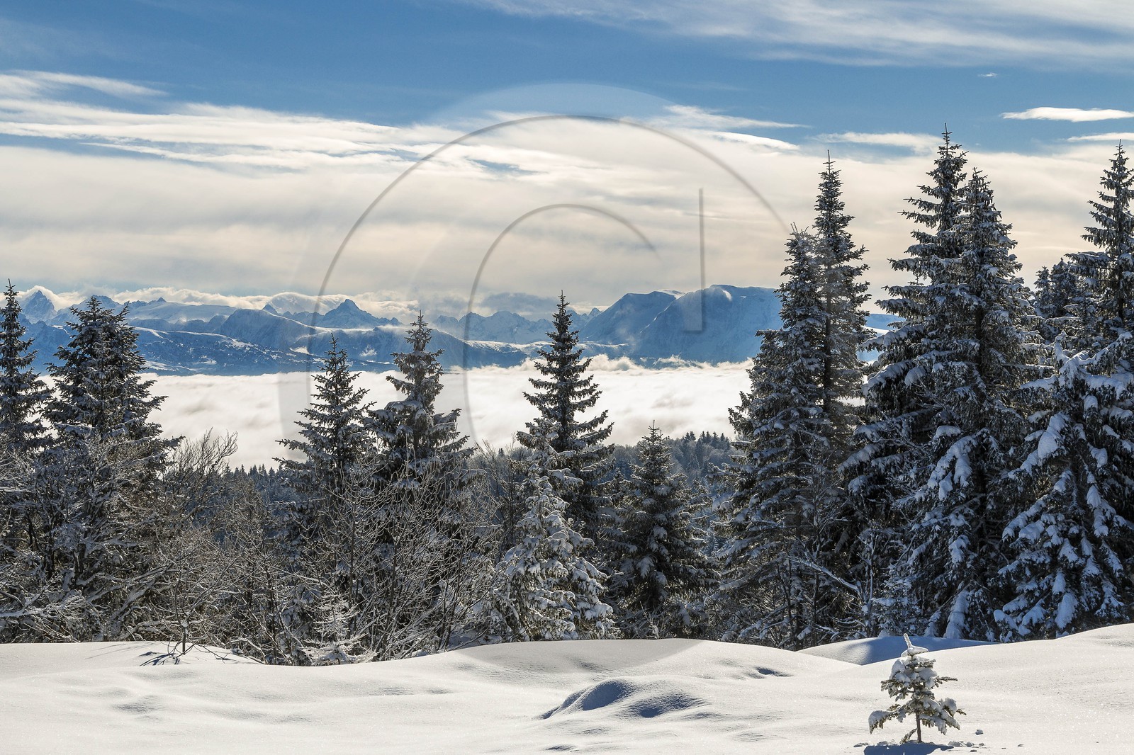 ENS de l'Isère, Plateau de la Molière et du Sornin