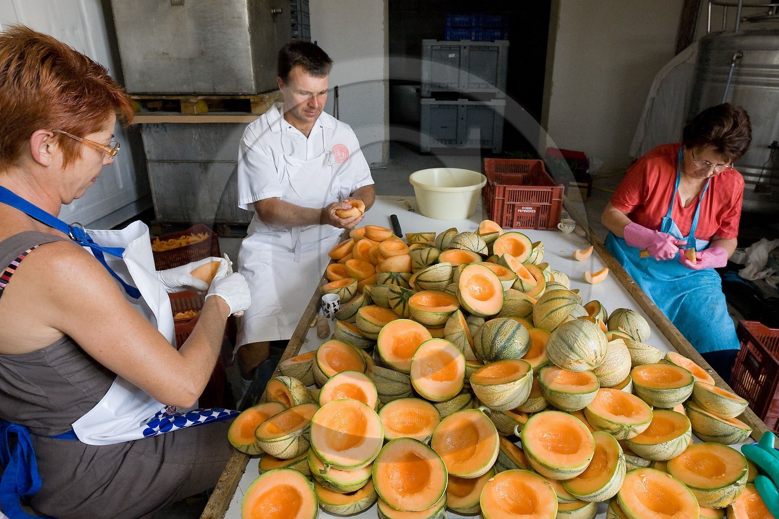 Confiserie Saint Denis, préparation des melons