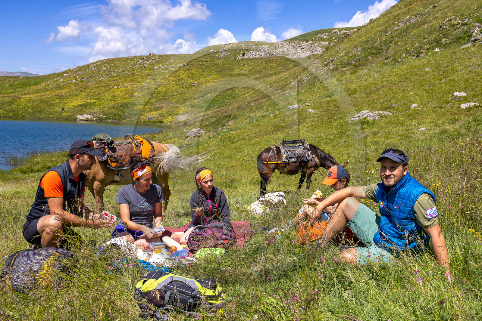Trek famille avec animaux de bats