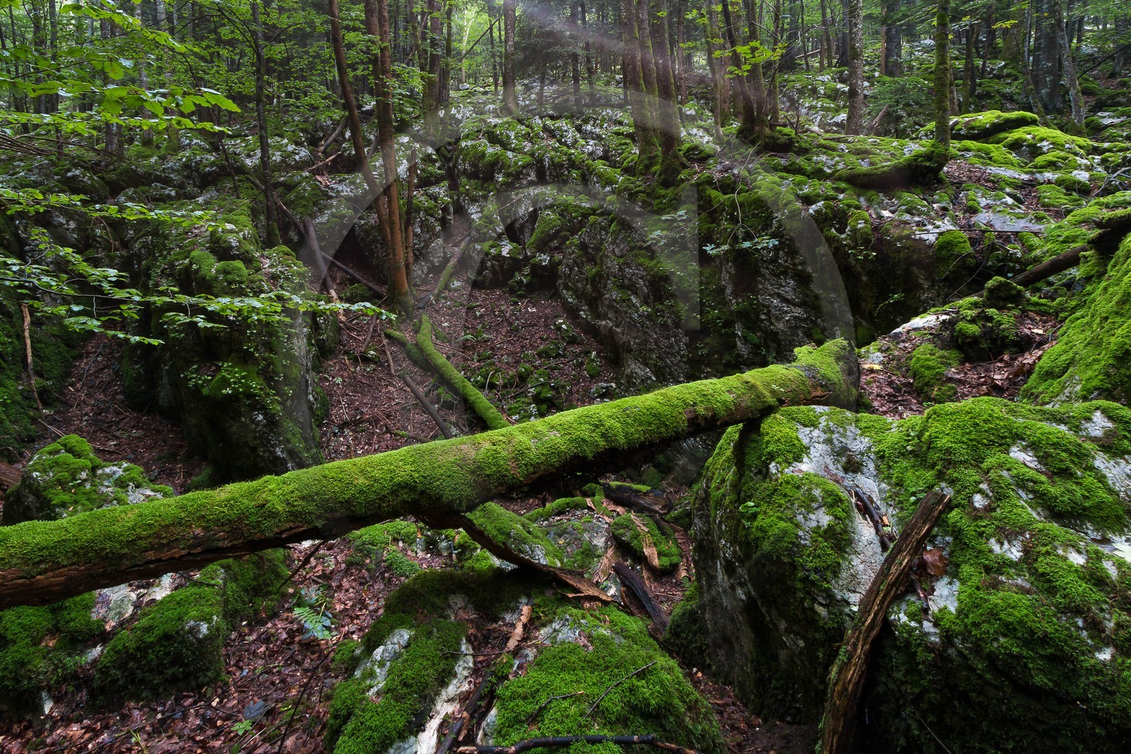 ENS de l'Isère, Les Ecouges