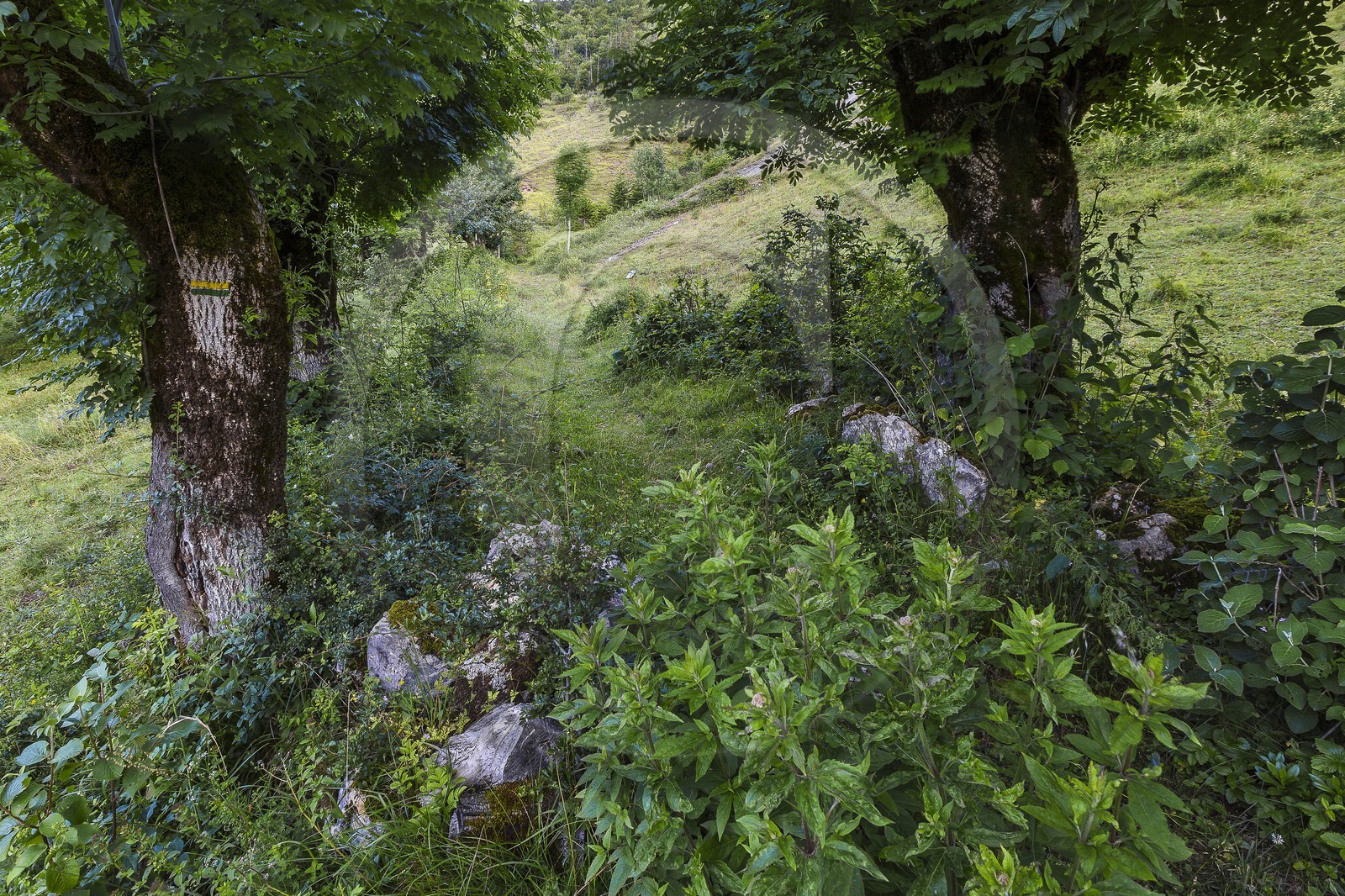 ENS de l'Isère, vallée fossile des Rimets