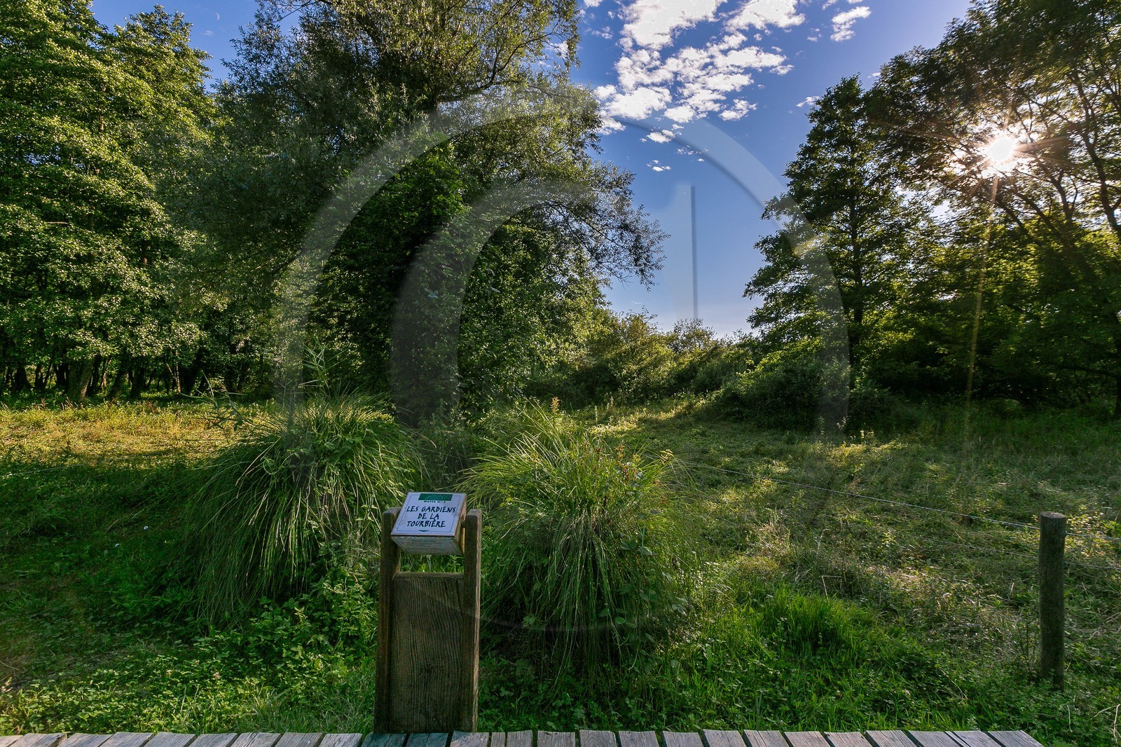 ENS de l'Isère, Tourbières de l'Herretang
