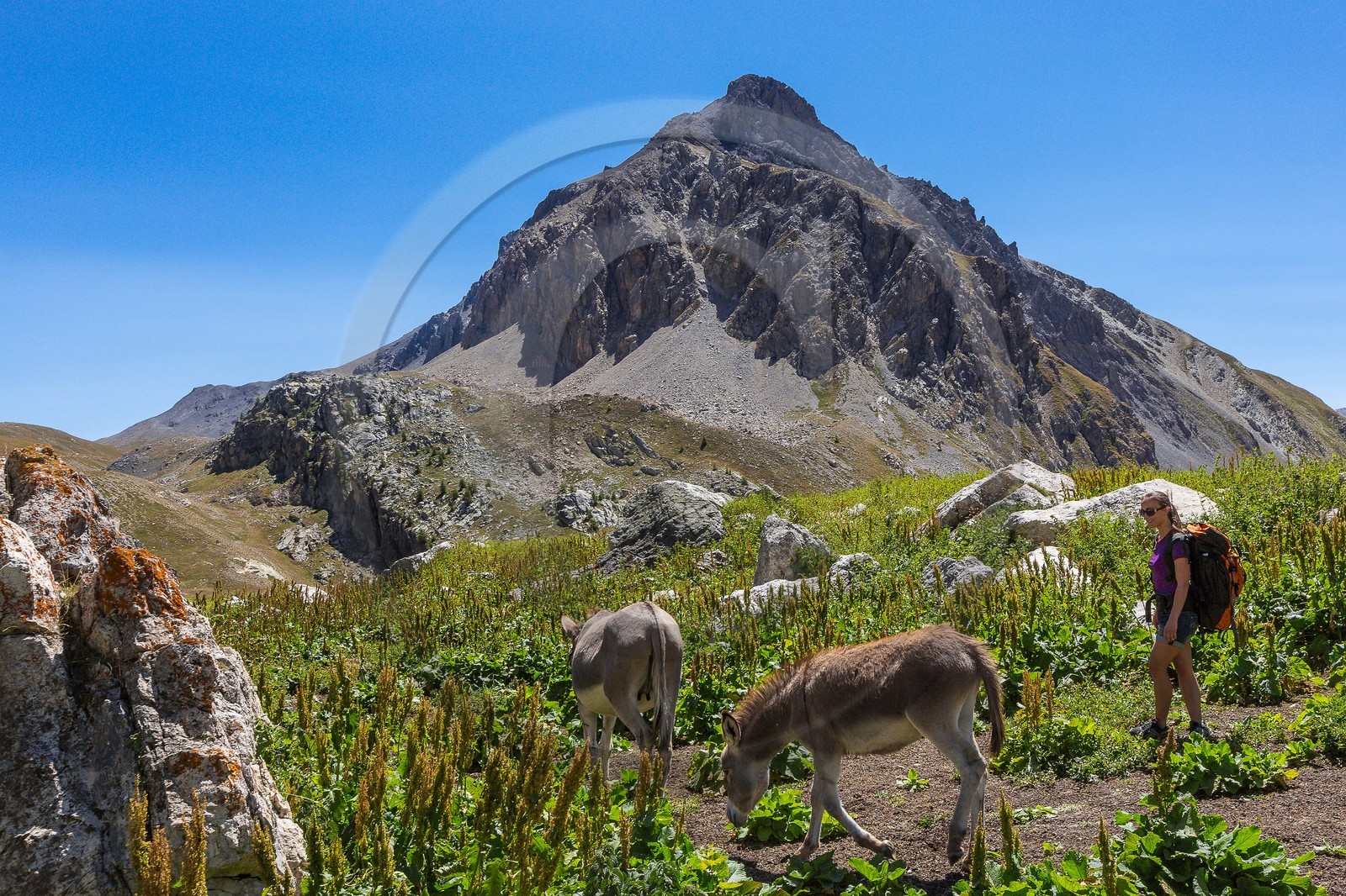 randonnée pédestre vallon de l'Orenaye (2482m), GR Tour du Chambeyron